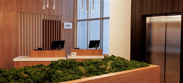 Courtyard Mexicali图片