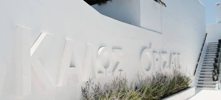 我的康尼安O酒店，属于设计酒店成员(Myconian O a Member of Design Hotels)图片