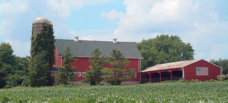 罗克福德万怡酒店(Courtyard Rockford)图片
