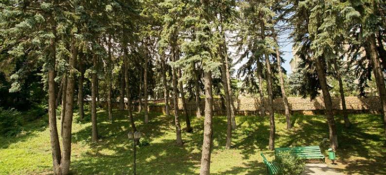 泽姆除兹纳加夫加萨酒店(Zhemchuzhina Kavkaza)图片