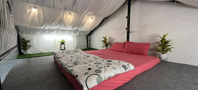 香草农场酒店(Vanilla Farms)图片