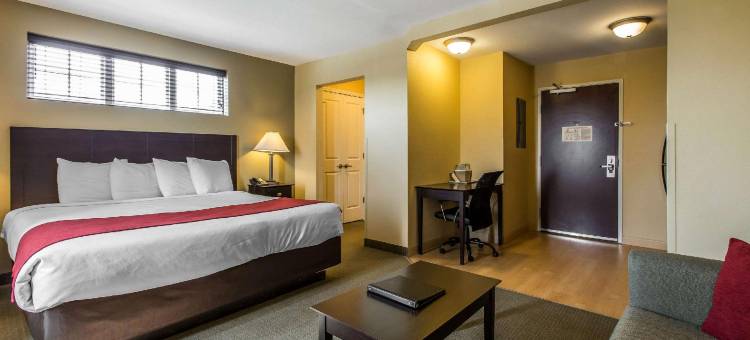 杰克森维尔主流套房 - 近勒琼营地(MainStay Suites Jacksonville Near Camp Lejeune)图片