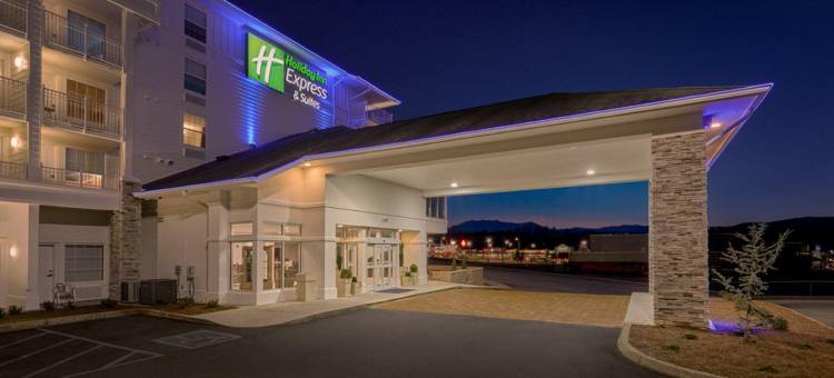 洲际酒店集团智选假日套房鸽子谷塞维尔维尔(Holiday Inn Express & Suites Pigeon Forge - Sevierville)图片
