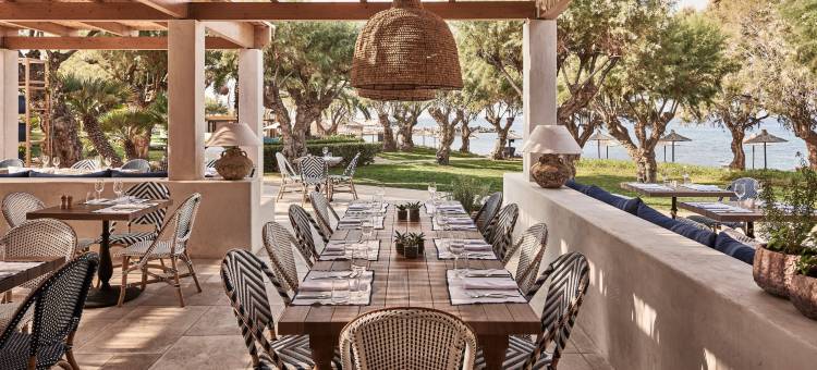 克瑞提马利亚公园酒店-设计酒店会员(Phāea Cretan Malia, a Member of Design Hotels)图片