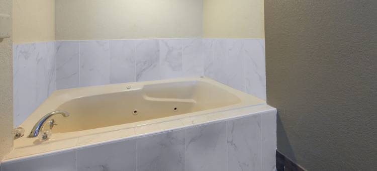 底特律中心呗盟套房酒店(Baymont by Wyndham Downtown Detroit)图片