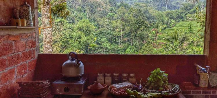 曼南格尔农场住宿(Farmstay Manangel)图片