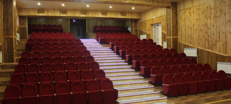 维萨尔酒店(Versaille Hotel)图片