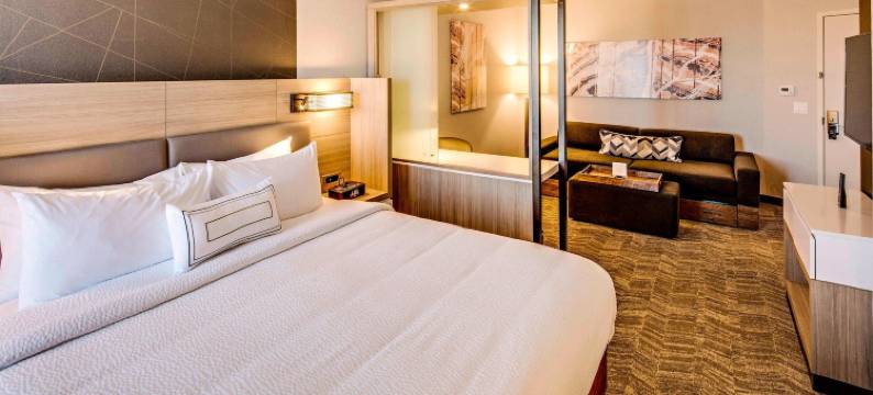 代顿北SpringHill Suites酒店(SpringHill Suites Dayton Vandalia)图片