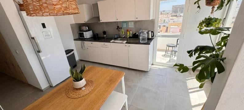 西斯内巢旅舍(Cisne Hostal by Nest)图片