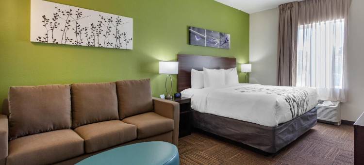 坦帕南部舒眠套房酒店(Sleep Inn & Suites Tampa South)图片