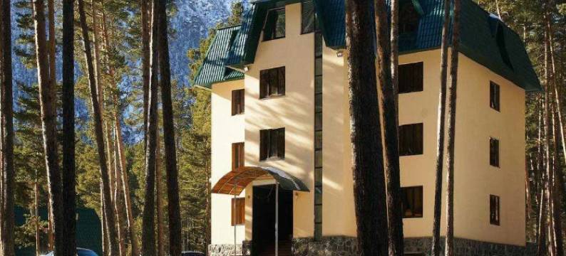 索斯诺维波尔酒店(Sosnovyij Bor Hotel)图片