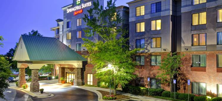 亚特兰大比福德 - 格鲁吉亚州购物中心 SpringHill Suites 酒店(SpringHill Suites Atlanta Buford/Mall of Georgia)图片