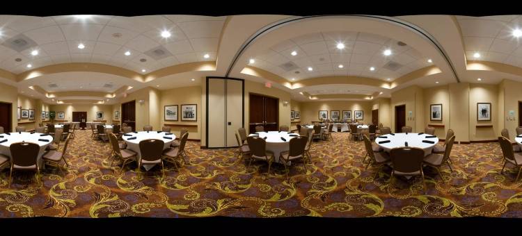 孟菲斯沃尔夫卡瑟佳乐利假日酒店及套房(Holiday Inn & Suites Memphis -  Wolfchase Galleria)图片