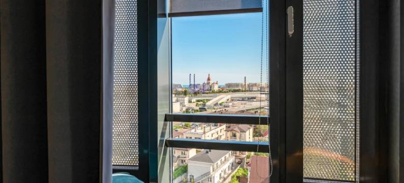 天狼星三角洲酒店(Delta Sirius Hotel)图片