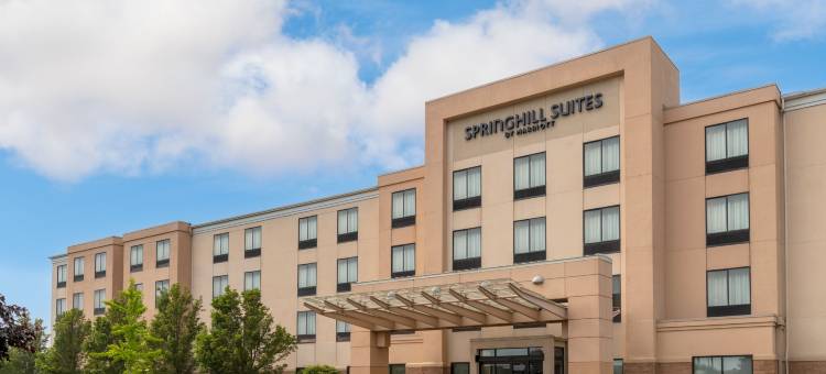 底特律奥本山万豪SpringHill酒店(SpringHill Suites Detroit Auburn Hills)图片