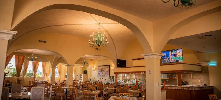 拉皮达德假日酒店(Holiday Inn LA PIEDAD by IHG)图片