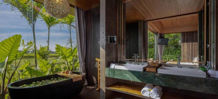 巴厘岛格达斯健康养生度假村(Gdas Bali Health and Wellness Resort)图片
