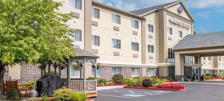 北部舒适套房酒店(Comfort Suites North)图片