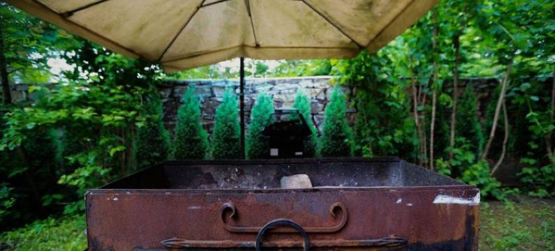 Golden Goose Guest House图片