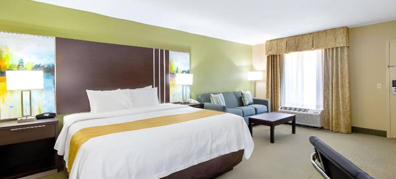 凯艺酒店(Quality Inn of Paris, TN)图片