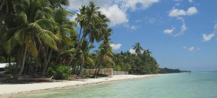 金银岛海滩小屋(Treasure Island Beach Bungalows)图片