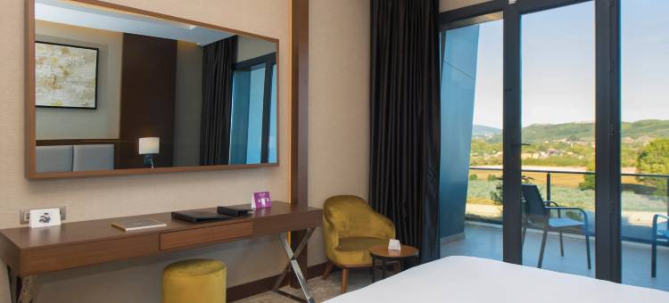 雅洛瓦皇冠假日酒店 IHG(Crowne Plaza Yalova)图片