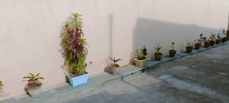 皇家酒店(Hotel Royal Inn)图片