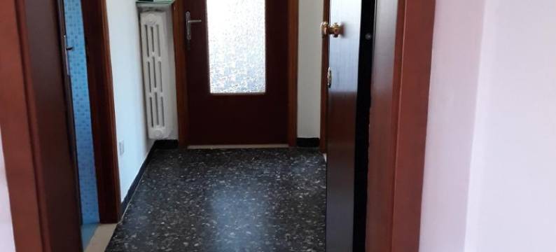 威尼斯公园旅馆(Venice Park House)图片