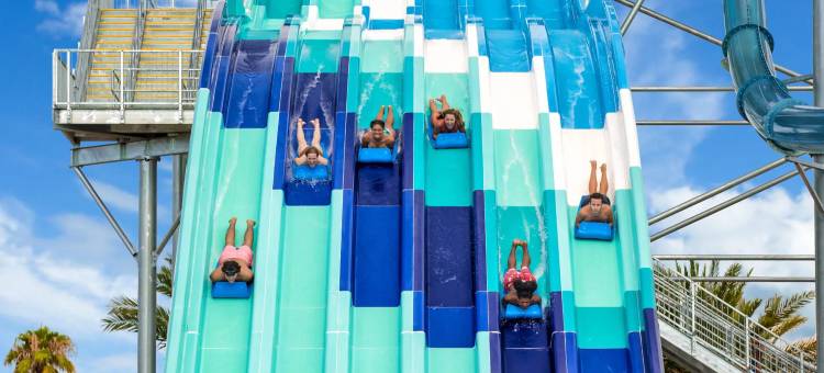 Voco Kissimmee Orlando by IHG图片