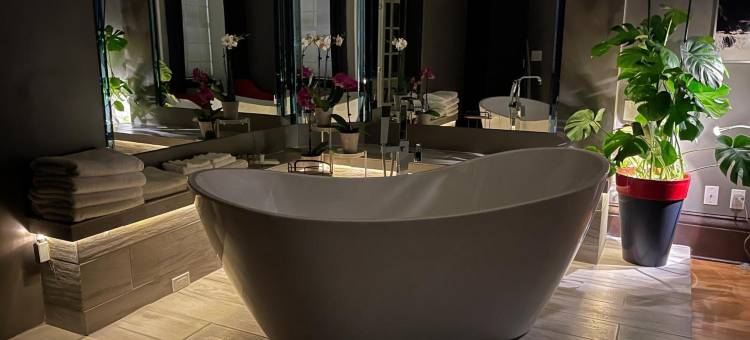 瑞士酒店(Swiss Hotel)图片