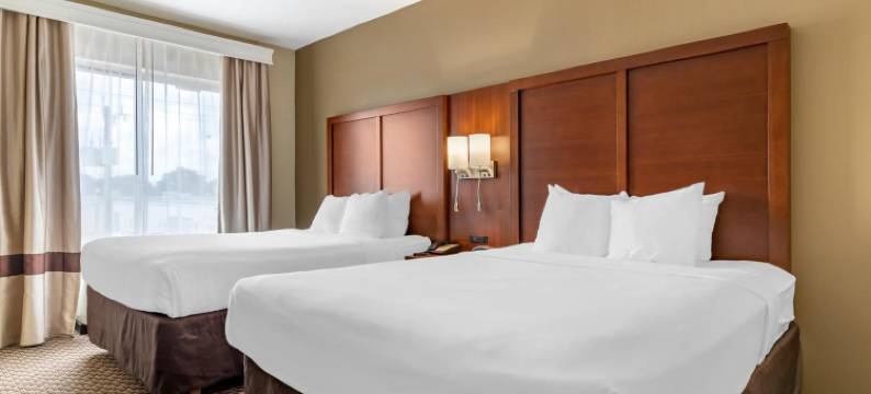 舒适套房酒店-医学中心近六旗(Comfort Suites Medical Center Near Six Flags)图片