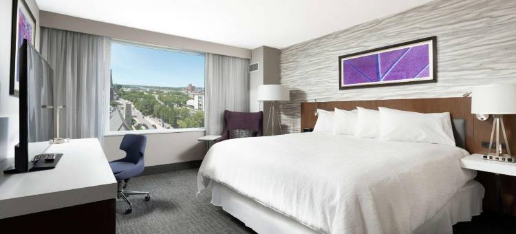 渥太华市中心希尔顿花园酒店(Hilton Garden Inn Ottawa Downtown)图片