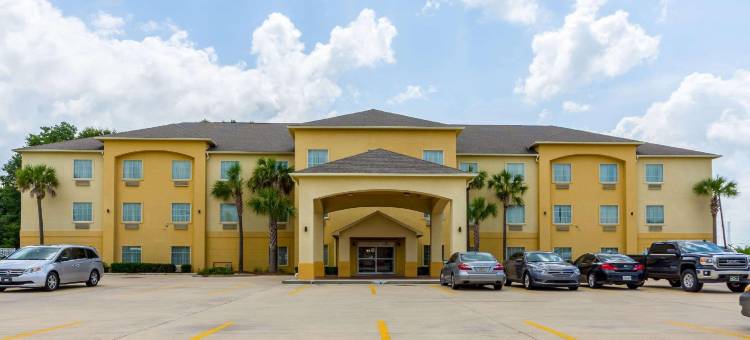 斯科特 - 西拉法叶舒适套房酒店(Comfort Inn & Suites Scott-West Lafayette)图片