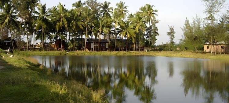 马贾利海滩度假村(Majali Beach Resorts)图片