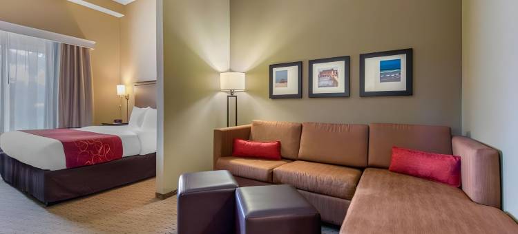 舒适套房酒店-萨拉索塔-西耶斯塔岛(Comfort Suites Sarasota-Siesta Key)图片