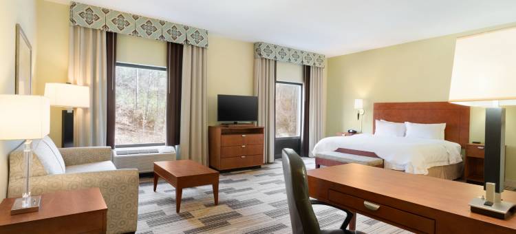 伯明翰-东艾恩戴尔欢朋套房酒店(Hampton Inn & Suites Birmingham East Irondale)图片
