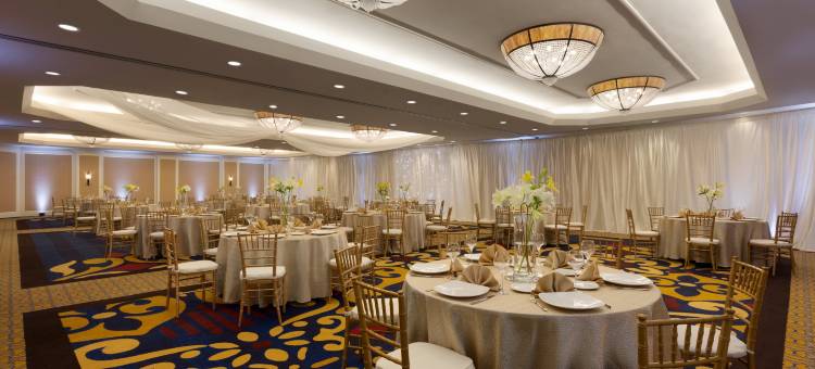 阿灵顿希尔顿酒店(Hilton Arlington)图片