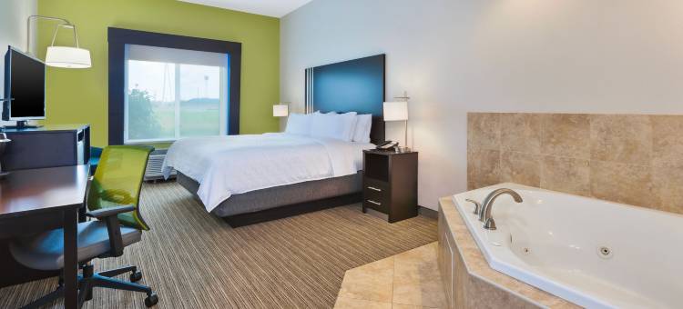 埃芬汉姆智选假日套房酒店(Holiday Inn Express & Suites Effingham)图片