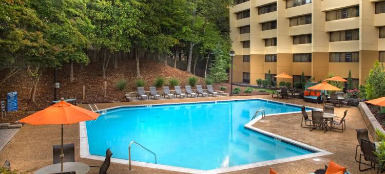 亚特兰大西北凯悦套房酒店(Hyatt Regency Suites Atlanta Northwest)图片