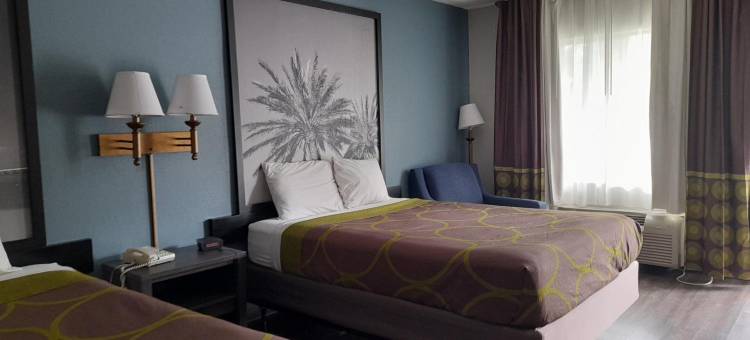 戴尼亚-劳德代尔堡机场温德姆速8酒店(Super 8 by Wyndham Dania/Fort Lauderdale Arpt)图片