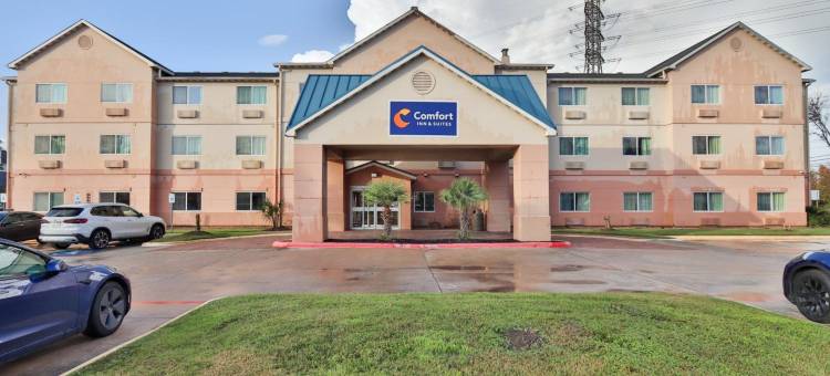 舒适酒店及套房(Comfort Inn & Suites)图片