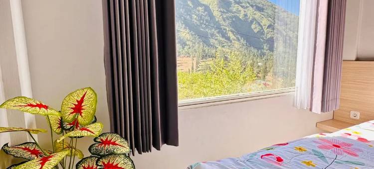 D'Breeze Bromo图片