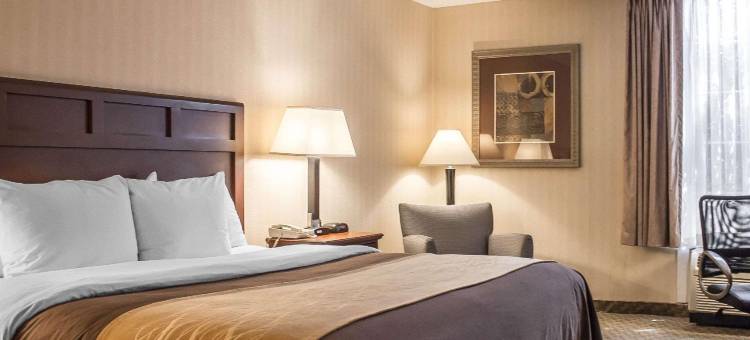 韦瑟斯菲尔德哈特福德舒适酒店(Comfort Inn Wethersfield - Hartford)图片