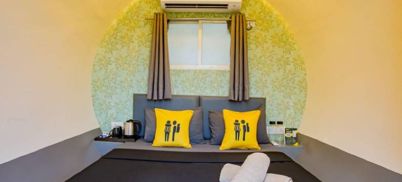 潘谢特青年旅舍(The Hosteller Panshet)图片