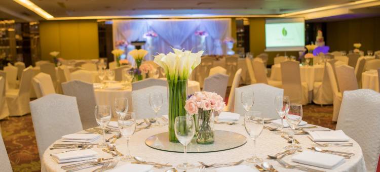 湾叶市中市酒店(The Bayleaf Intramuros)图片