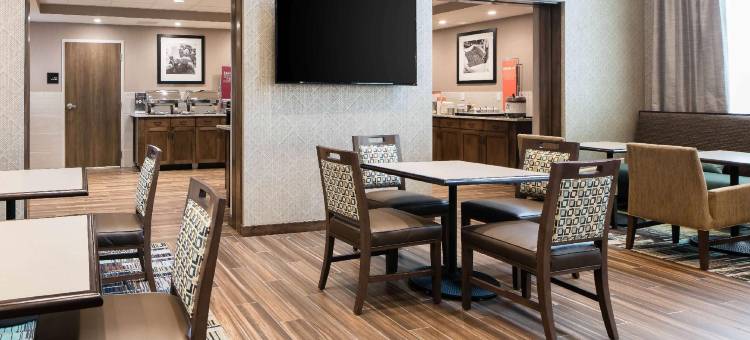 哈德森威斯康辛欢朋套房酒店(Hampton Inn and Suites Hudson)图片