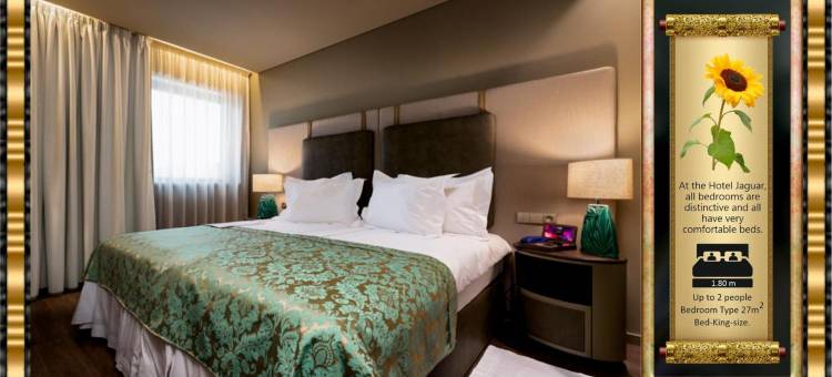 豹酒店 - 奥波托/机场 - 酒店和城市是一个免费的摆渡服务(Hotel Jaguar Oporto - Airport to Hotel and City is a Free Shuttle Service)图片