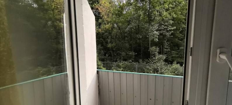 劳斯莱斯舞会酒店(Ros les Prom Hotel)图片