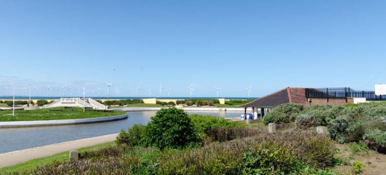 湖边(The Lakeside)图片