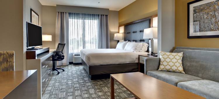 智选假日套房酒店奥尔巴尼 by IHG(Holiday Inn Express & Suites Albany)图片